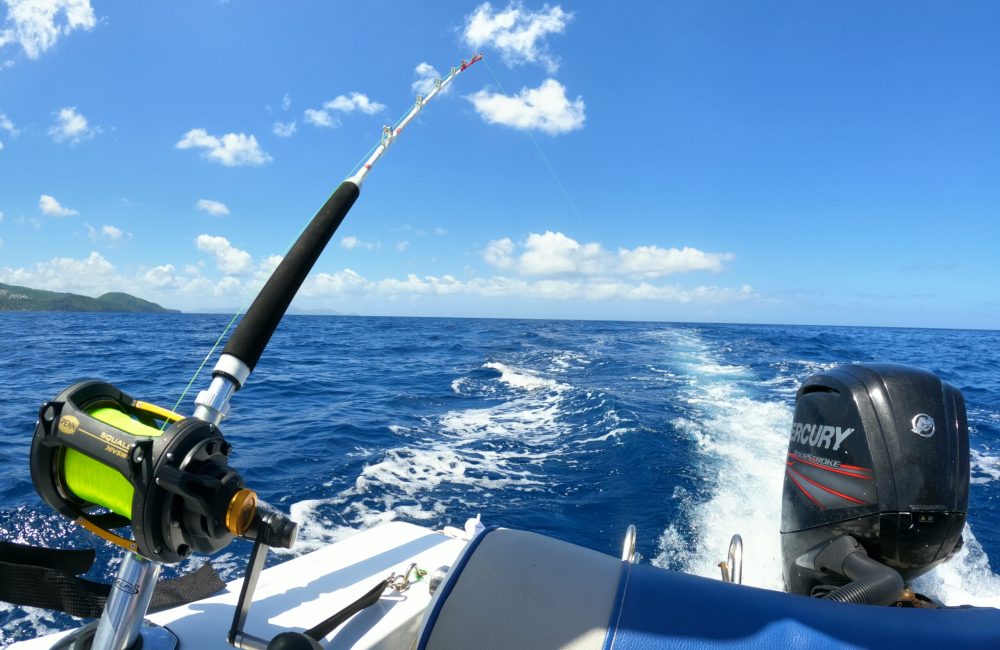 DCIM101GOPROGOPR3135.JPG